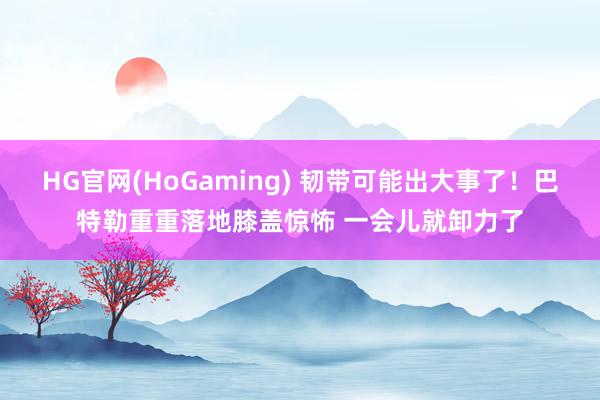 HG官网(HoGaming) 韧带可能出大事了！巴特勒重重落地膝盖惊怖 一会儿就卸力了