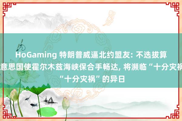 HoGaming 特朗普威逼北约盟友: 不选拔算作协助好意思国使霍尔木兹海峡保合手畅达， 将濒临“十分灾祸”的异日