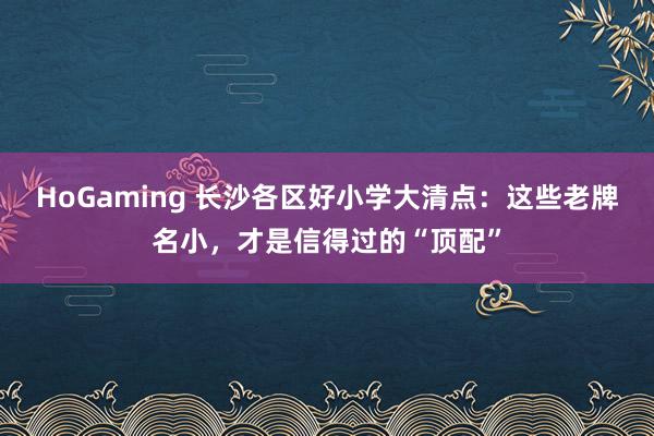 HoGaming 长沙各区好小学大清点：这些老牌名小，才是信得过的“顶配”