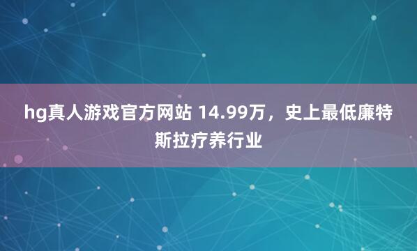 hg真人游戏官方网站 14.99万，史上最低廉特斯拉疗养行业