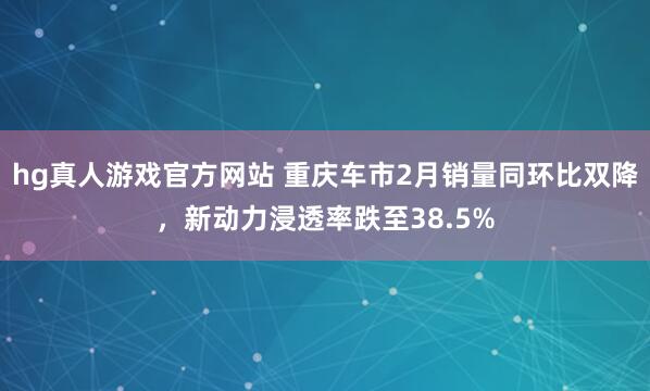 hg真人游戏官方网站 重庆车市2月销量同环比双降，新动力浸透率跌至38.5%