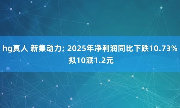 hg真人 新集动力: 2025年净利润同比下跌10.73% 拟10派1.2元