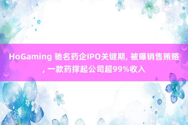HoGaming 驰名药企IPO关键期, 被曝销售贿赂, 一款药撑起公司超99%收入