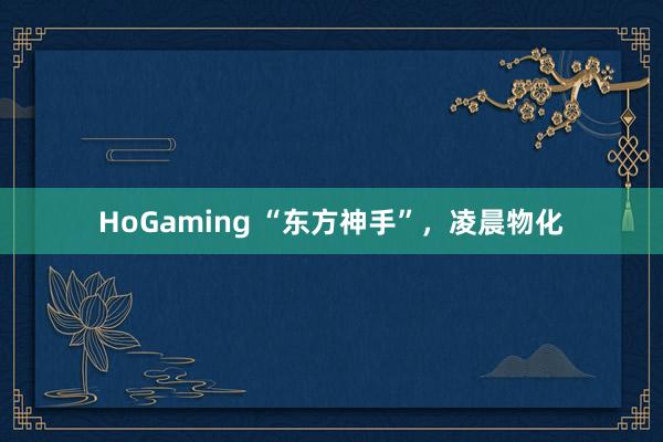 HoGaming “东方神手”，凌晨物化