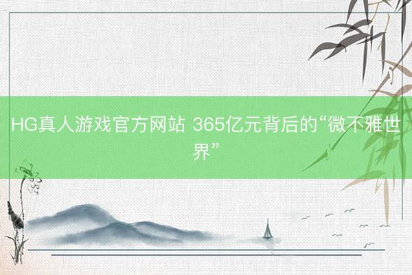 HG真人游戏官方网站 365亿元背后的“微不雅世界”