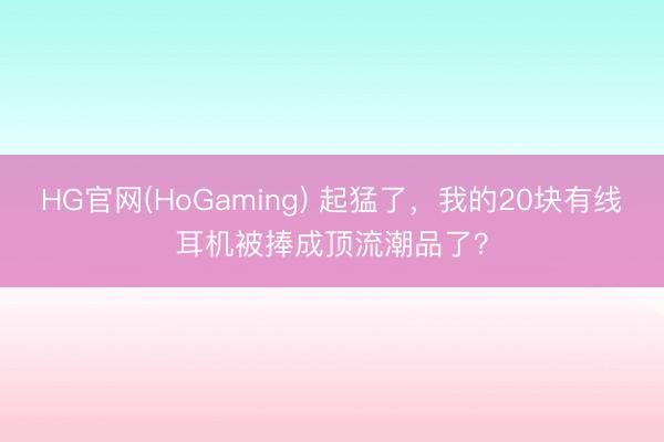 HG官网(HoGaming) 起猛了，我的20块有线耳机被捧成顶流潮品了？
