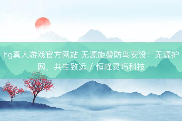 hg真人游戏官方网站 无源旋叠防鸟安设：无源护网，共生致远 / 恒峰灵巧科技