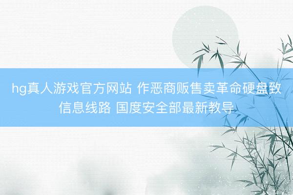 hg真人游戏官方网站 作恶商贩售卖革命硬盘致信息线路 国度安全部最新教导