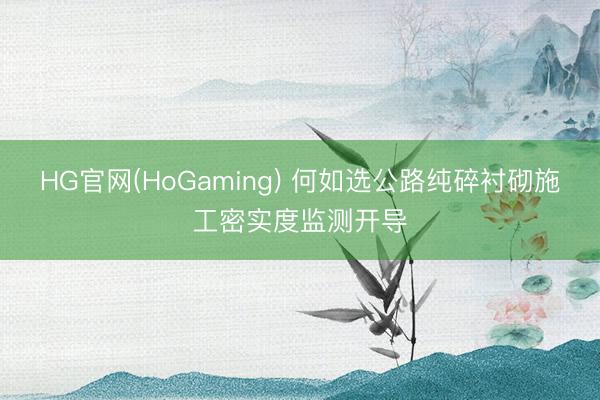 HG官网(HoGaming) 何如选公路纯碎衬砌施工密实度监测开导