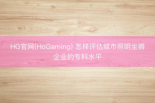 HG官网(HoGaming) 怎样评估城市照明坐褥企业的专科水平