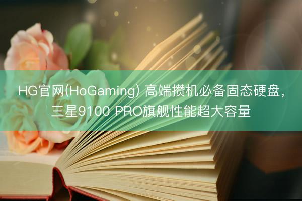 HG官网(HoGaming) 高端攒机必备固态硬盘，三星9100 PRO旗舰性能超大容量
