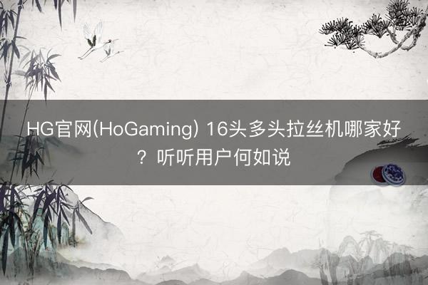 HG官网(HoGaming) 16头多头拉丝机哪家好？听听用户何如说