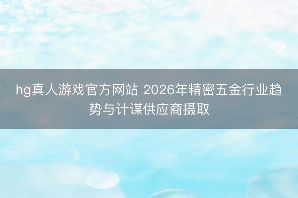 hg真人游戏官方网站 2026年精密五金行业趋势与计谋供应商摄取