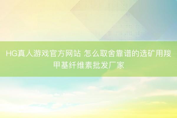 HG真人游戏官方网站 怎么取舍靠谱的选矿用羧甲基纤维素批发厂家