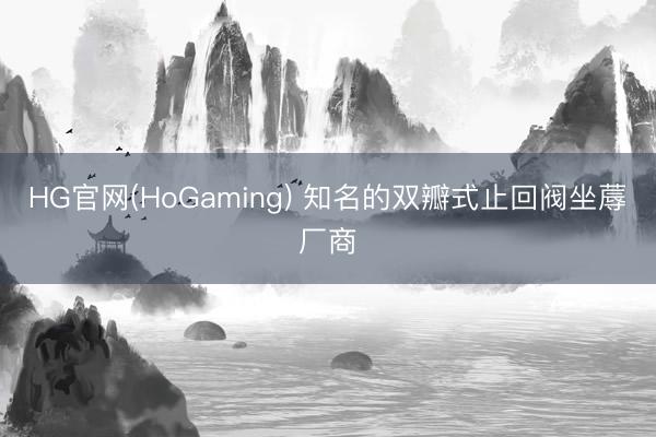 HG官网(HoGaming) 知名的双瓣式止回阀坐蓐厂商