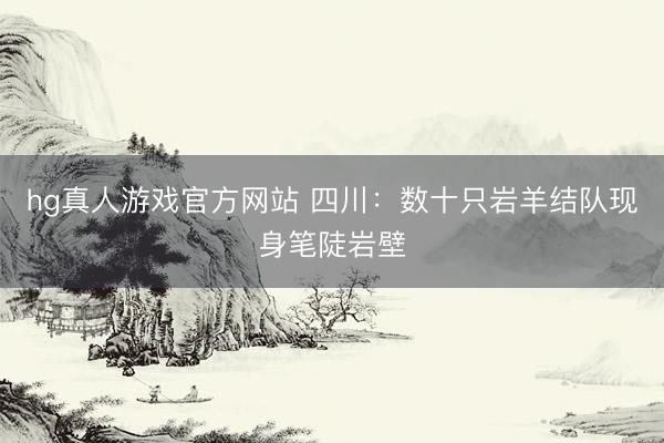 hg真人游戏官方网站 四川：数十只岩羊结队现身笔陡岩壁