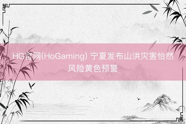 HG官网(HoGaming) 宁夏发布山洪灾害怡然风险黄色预警