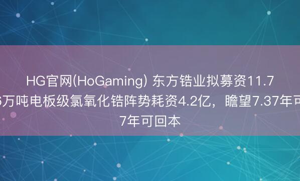 HG官网(HoGaming) 东方锆业拟募资11.7亿！6万吨电板级氯氧化锆阵势耗资4.2亿，瞻望7.37年可回本