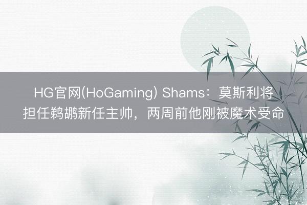 HG官网(HoGaming) Shams：莫斯利将担任鹈鹕新任主帅，两周前他刚被魔术受命