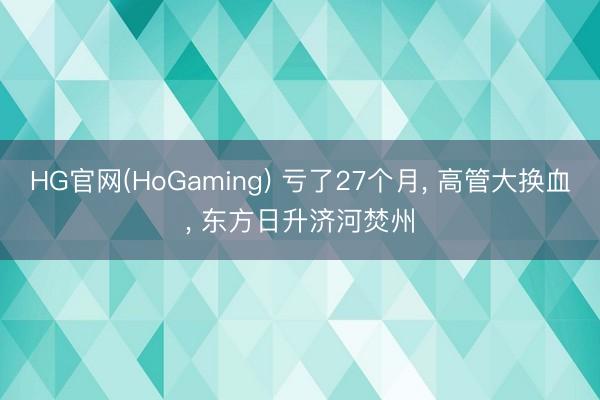HG官网(HoGaming) 亏了27个月, 高管大换血, 东方日升济河焚州