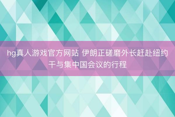 hg真人游戏官方网站 伊朗正磋磨外长赶赴纽约干与集中国会议的行程