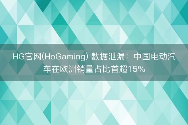HG官网(HoGaming) 数据泄漏：中国电动汽车在欧洲销量占比首超15%