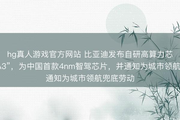 hg真人游戏官方网站 比亚迪发布自研高算力芯片“璇玑A3”，为中国首款4nm智驾芯片，并通知为城市领航兜底劳动